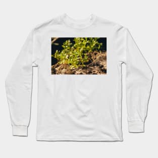 Tree Flowers Long Sleeve T-Shirt